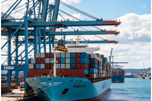 Shipping Trends