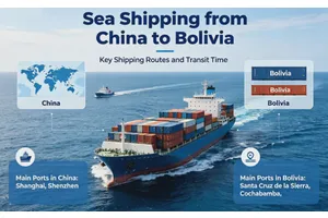 Shipping Trends