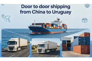 Shipping Trends