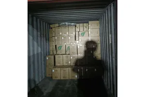 Sea Freight FCL to USA