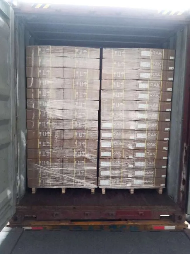 Fig 4: Interior view of the container at the warehouse — push plate cartons on the floor layer, cistern cartons above, interlocked for stability
