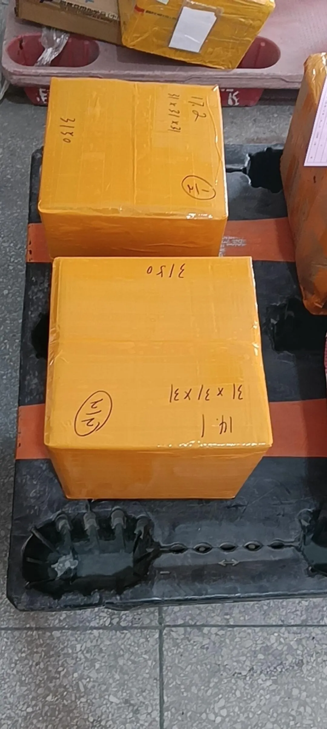Fig 2: Palletized control modules after shrink-wrapping — cartons consolidated onto two export pallets for stable handling