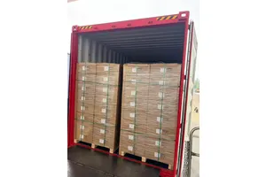 Sea Freight FCL to USA